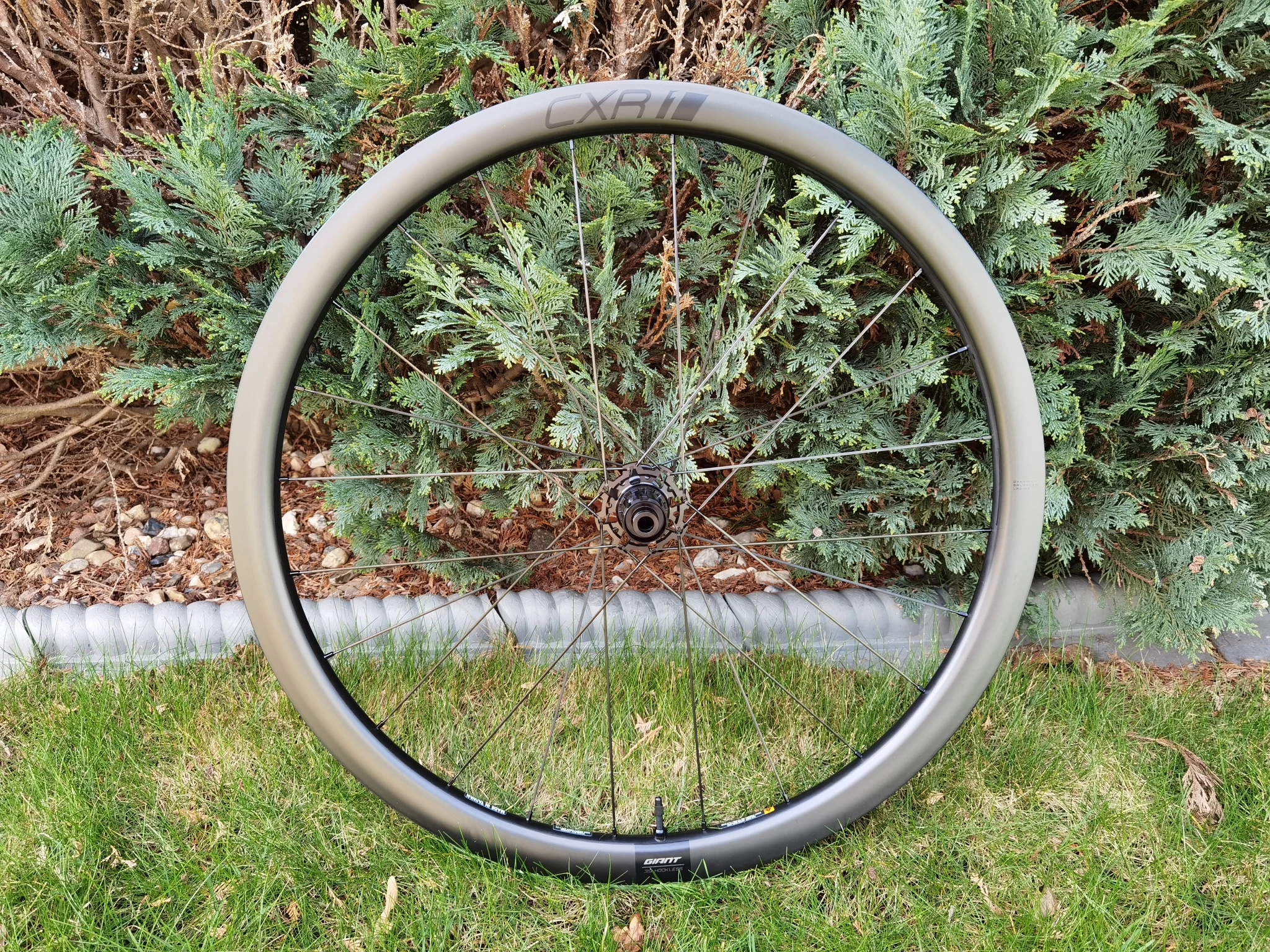 Giant CXR 1 Disc Carbon Tubeless Laufrad Hinten 1 Giant CXR 1 Disc Carbon Tubeless Laufrad Hinten