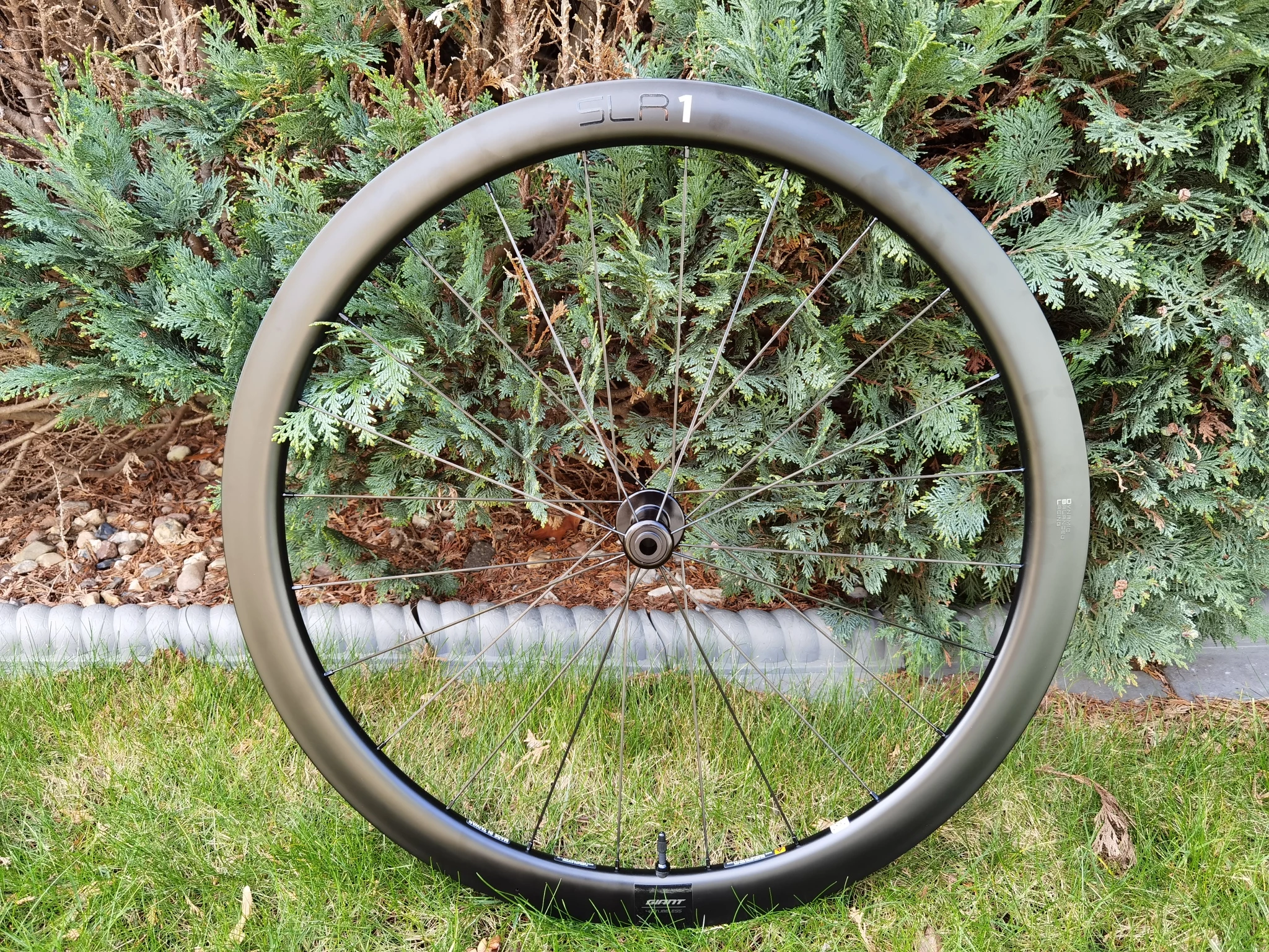 Giant SLR 1 42 Disc Carbon Tubeless Laufradsatz *1450 G* 1 Giant SLR 1 42 Disc Carbon Tubeless Laufradsatz *1450 G*