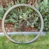 Giant SLR 1 36 Disc Carbon Tubeless Laufrad Vorn